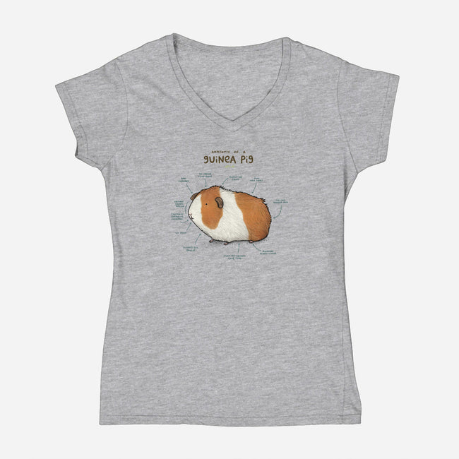 Anatomy of a Guinea Pig-womens v-neck tee-SophieCorrigan