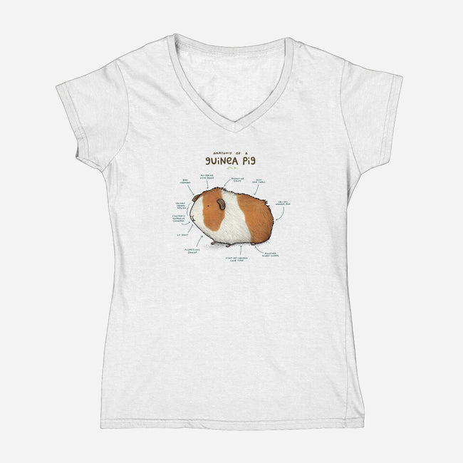 Anatomy of a Guinea Pig-womens v-neck tee-SophieCorrigan