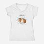 Anatomy of a Guinea Pig-womens v-neck tee-SophieCorrigan
