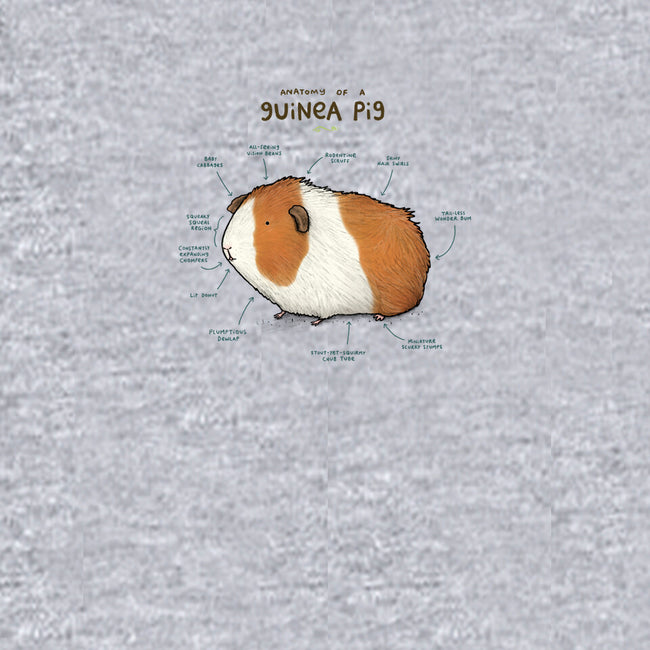 Anatomy of a Guinea Pig-dog basic pet tank-SophieCorrigan