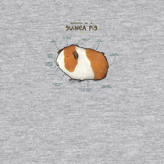 Anatomy of a Guinea Pig-womens fitted tee-SophieCorrigan