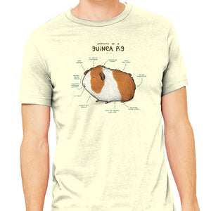 Anatomy of a Guinea Pig