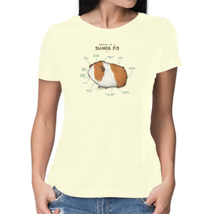 Anatomy of a Guinea Pig