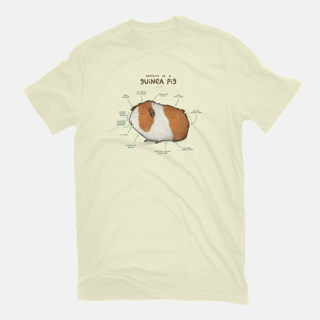 Anatomy of a Guinea Pig-mens heavyweight tee-SophieCorrigan