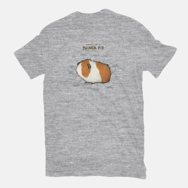 Anatomy of a Guinea Pig-mens heavyweight tee-SophieCorrigan