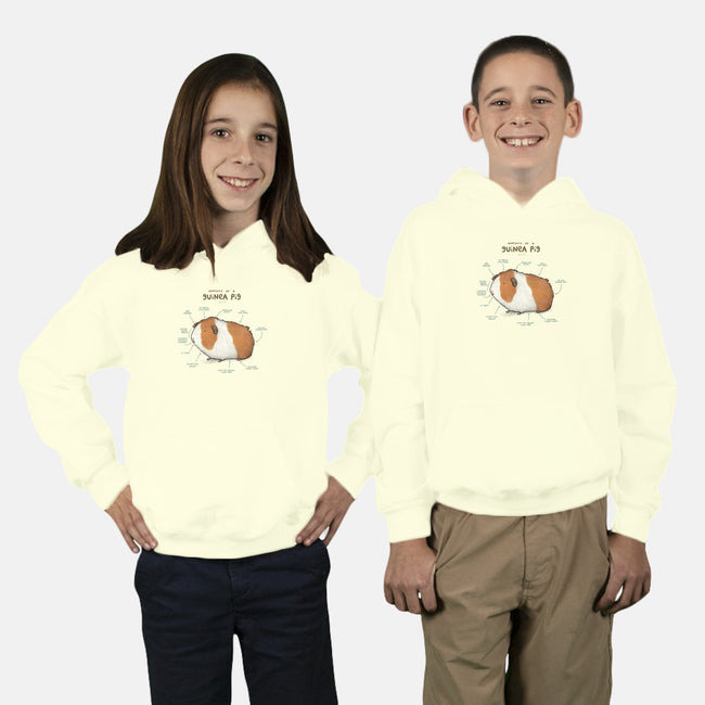 Anatomy of a Guinea Pig-youth pullover sweatshirt-SophieCorrigan