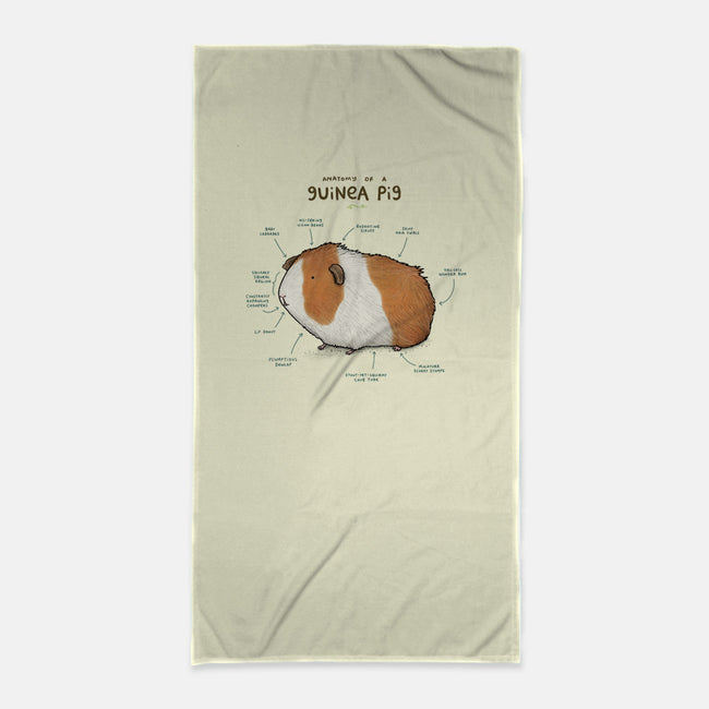 Anatomy of a Guinea Pig-none beach towel-SophieCorrigan