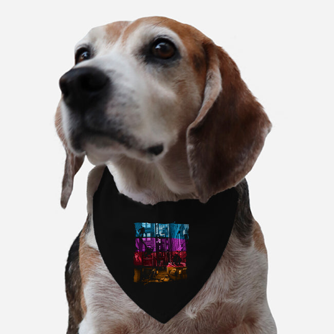 Anchovy Alley-dog adjustable pet collar-DJKopet