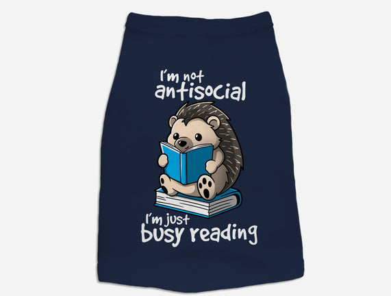 Antisocial Hedgehog