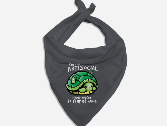 Antisocial Turtle