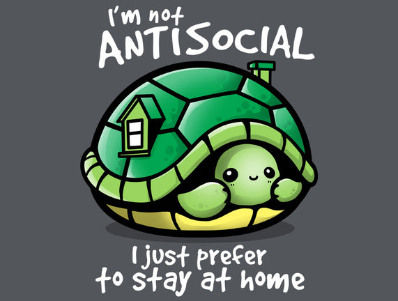 Antisocial Turtle