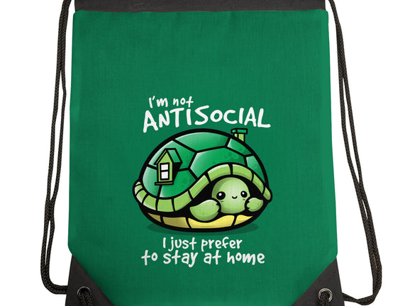 Antisocial Turtle