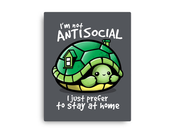 Antisocial Turtle