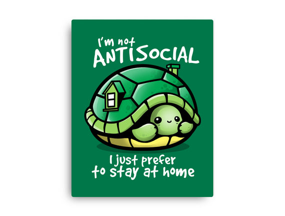 Antisocial Turtle