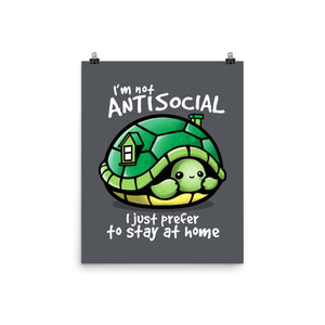 Antisocial Turtle
