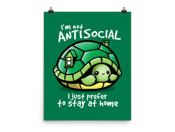 Antisocial Turtle