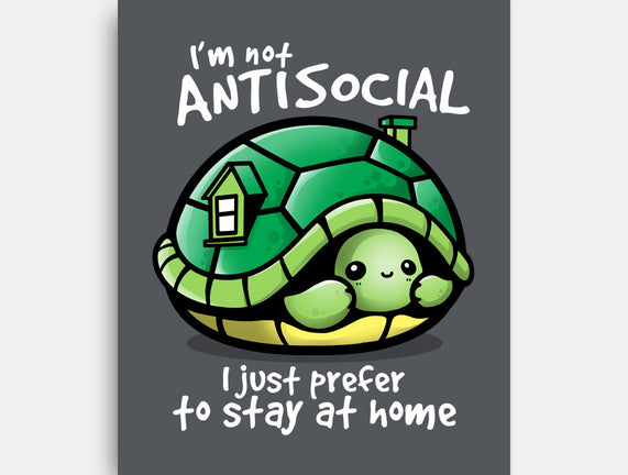 Antisocial Turtle