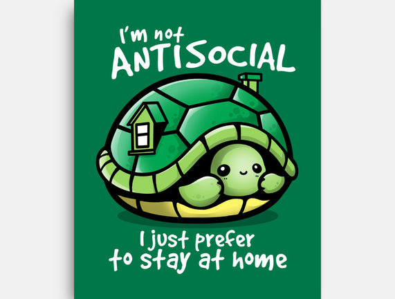 Antisocial Turtle