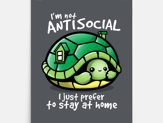 Antisocial Turtle