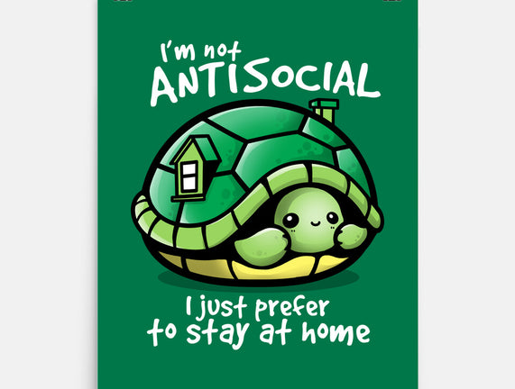 Antisocial Turtle