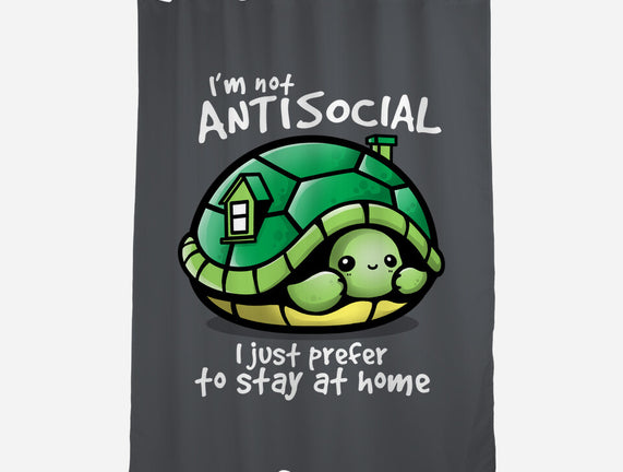 Antisocial Turtle