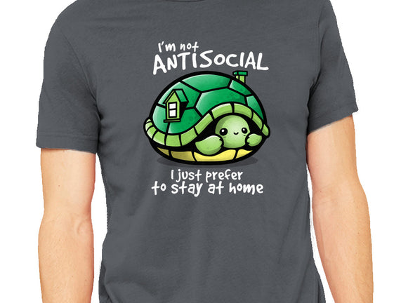 Antisocial Turtle