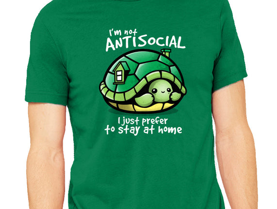 Antisocial Turtle