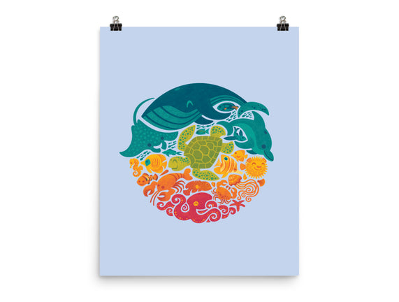 Aquatic Rainbow