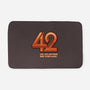 42-none memory foam bath mat-mannypdesign