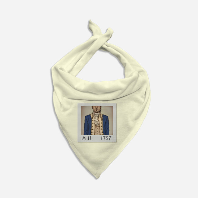 1757-dog bandana pet collar-diha