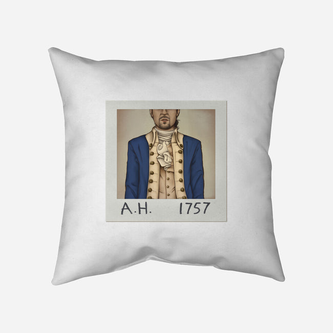 1757-none removable cover w insert throw pillow-diha
