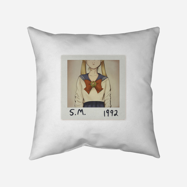 1992-none non-removable cover w insert throw pillow-diha