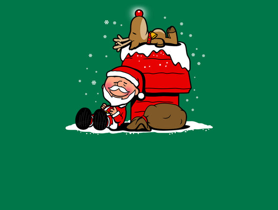 Christmas Nuts