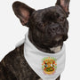 Be Kind to Your Animals-dog bandana pet collar-starsalts