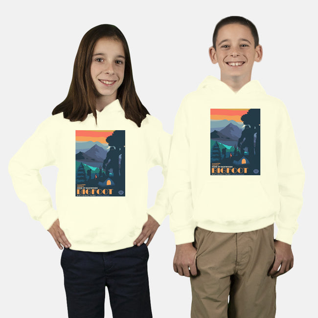 Bigfoot National Park-youth pullover sweatshirt-heydale