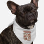 Dungeons and Doggos-dog bandana pet collar-glassstaff
