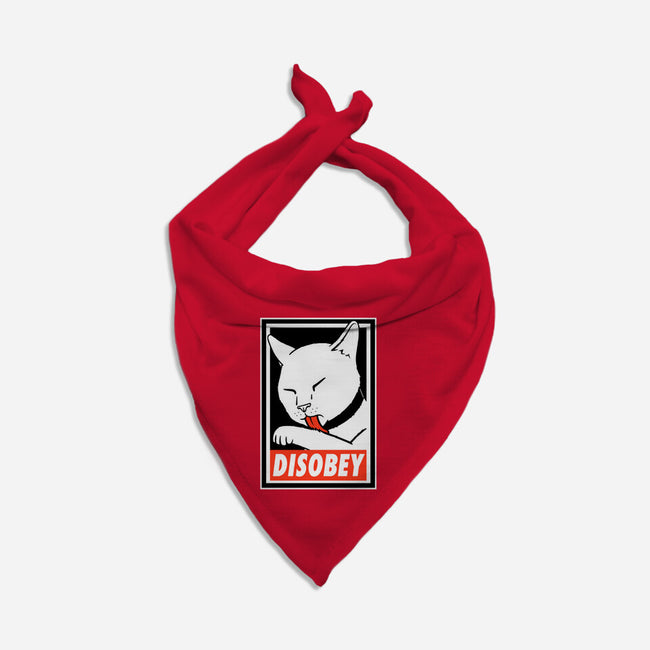 DISOBEY!-dog bandana pet collar-Raffiti