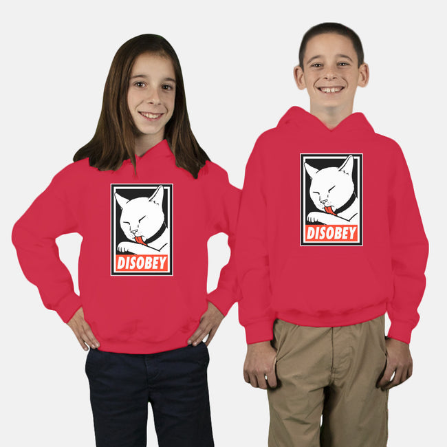 DISOBEY!-youth pullover sweatshirt-Raffiti