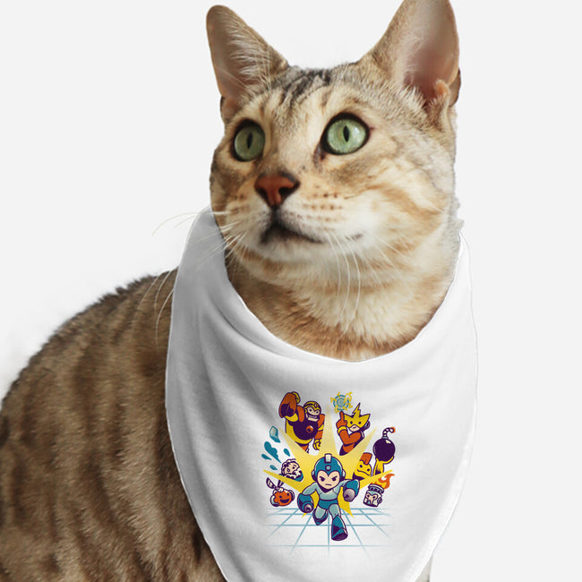 Rokku Run-cat bandana pet collar-toyfu
