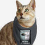 Believe in Yourself-cat bandana pet collar-lincean