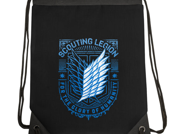 Scouting Legion