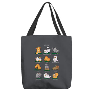 Cat Yoga