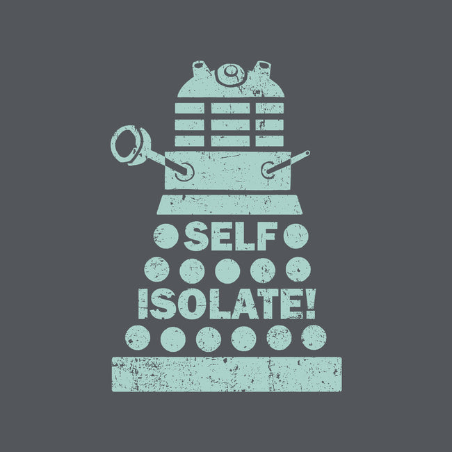 Self Isolate!-cat bandana pet collar-kg07