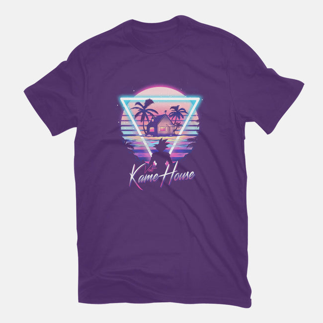Kame Island Postcard-mens heavyweight tee-dandingeroz