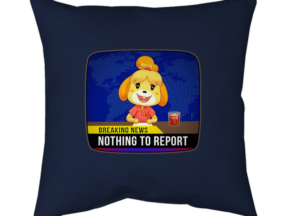 Nothing to Report