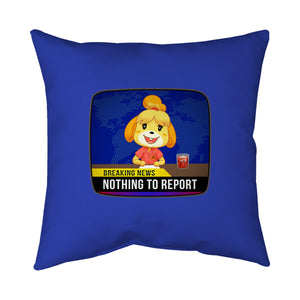 Nothing to Report