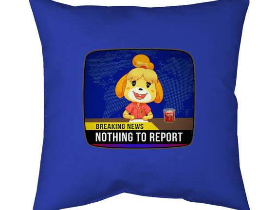 Nothing to Report