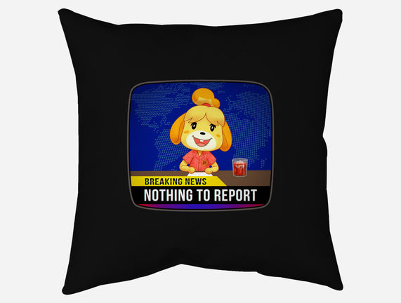 Nothing to Report