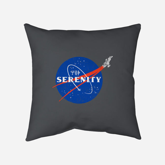 Serenity-none non-removable cover w insert throw pillow-kg07
