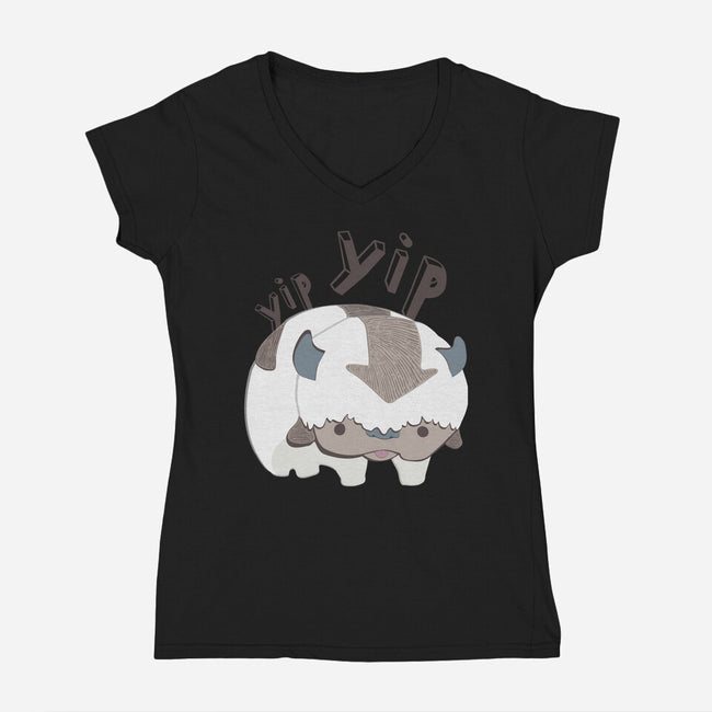 Let's Fly-womens v-neck tee-StinkPad